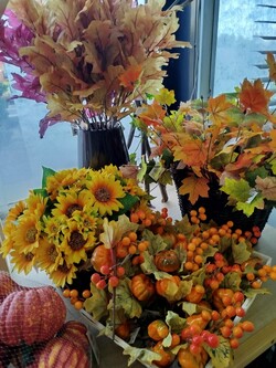 544763511_122216453090126874_2655104044680462955_n