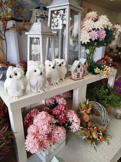 544891433_122216452958126874_6717948196031004579_n